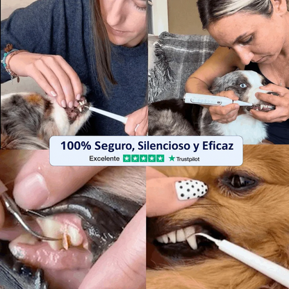 Zenvia Kit – Limpieza Ultrasónica Canina copia