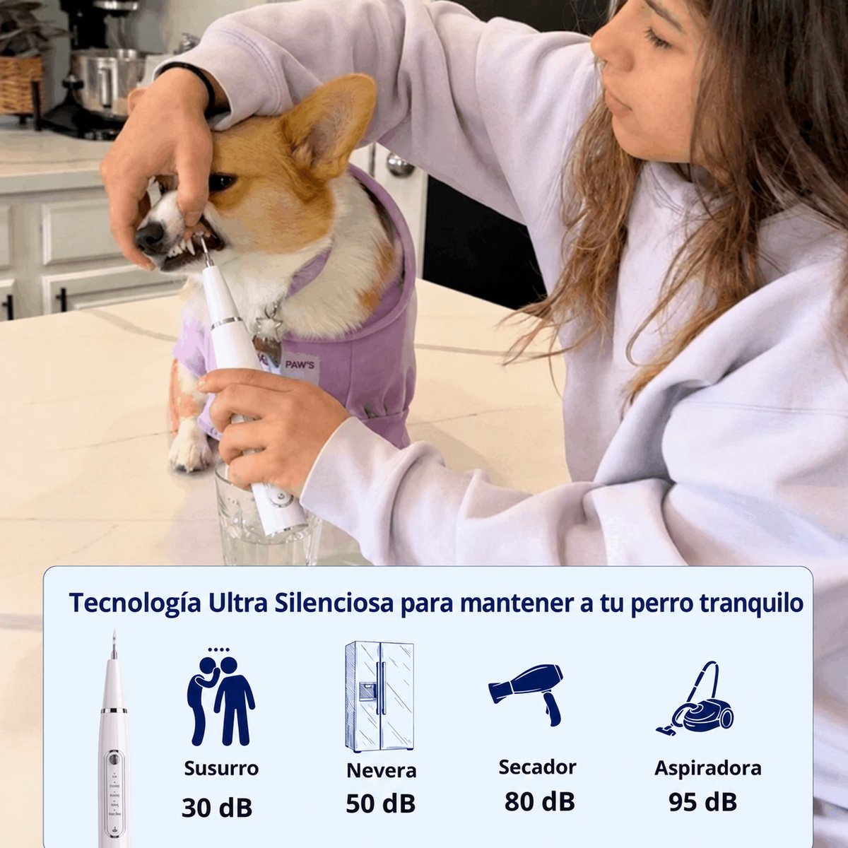 Zenvia Kit – Limpieza Ultrasónica Canina copia