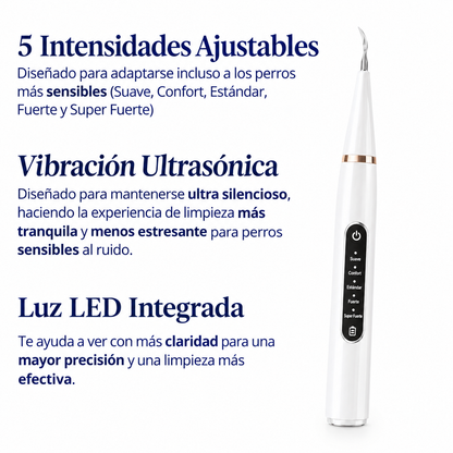 Zenvia Kit – Limpieza Ultrasónica Canina copia