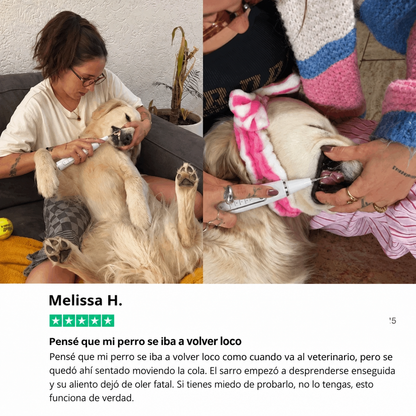 Zenvia Kit – Limpieza Ultrasónica Canina copia