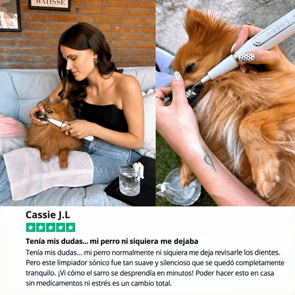 Zenvia Kit – Limpieza Ultrasónica Canina copia